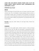 LAYING HENS AND BROILER CHICKENS STRAINS USED IN HOT AND HUMID CLIMATE: ORIGIN, SELECTION TRAITS, PERFORMANCES AND CONSTRAINTS