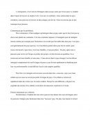 Dissertation sur l'immigration