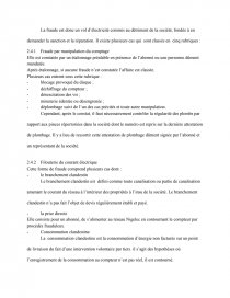 Exemple De Rapport De Stage Nigelec  hamanbe