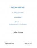 Rapport de stage Bac Pro SPVL