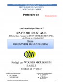 Rapport stage de dovv