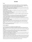 Biographie de Molière