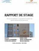 Rapport de stage au sein du HCP