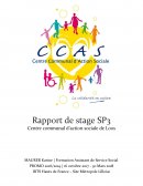 Rapport de stage Centre communal d’action sociale de Loos