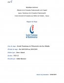 Rapport de stage Société Tunisienne de l'Electricité et du Gaz Mahdia