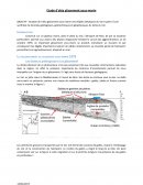 Etude d’aléa glissement sous-marin