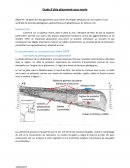 Etude d’aléa glissement sous-marin