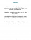 L'audit social et sa contribution dans l'amelioration de la performance globale de l'entreprise