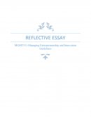 Managing Entrepreneurship and Innovation Guidelines