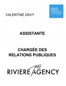 Rapport de Stage - The Riviere Agency