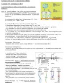 Communication et signalisation cellulaire