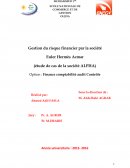 GESTION DU RISQUE FINANCIER PAR LA SOCIÉTÉ EULER HEMRES ACMAR