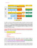 Introduction sciences politiques