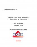 RAPPORT DE STAGE BAC PRO