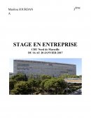 Rapport de stage CHU Nord de Marseille