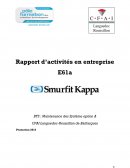 Rapport d’activités en entreprise