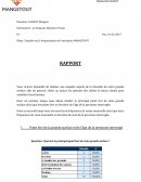 Rapport excel grande surface