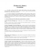 Cas Pratique Filiation L1