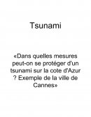 Tsunami en Méditerranée