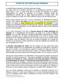 ETUDE DE CAS ERP Société MINEAUX