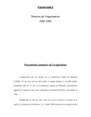 Tn2 théorie de l'organisation