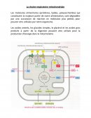 La chaine respiratoire mitochondriale