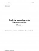 Droit du numérique et entreprenariat