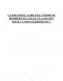 La politique agricole commune représente elle un gain pour l'UE