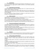 Projet d'animation AMP