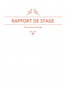 Exemple rapport de stage conseillère en vente (American Vintage)