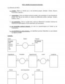 Modèles Conceptuels de Données