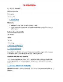 Expose Basket Ball Cours Julien Arrighi