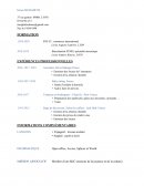 Cv type