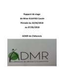 Rapport de stage ADMR de Châtenois
