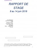 Rapport de stage EuroXport