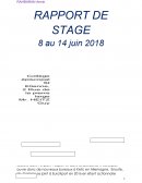 Rapport de stage EuroXport
