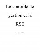 Dissertation, contrôle de gestion et RSE