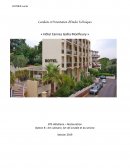 Rapport de stage « Hôtel Cannes Gallia Monfleury »