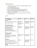Plan de découverte et CAP