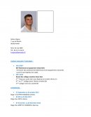 Curriculum vitae d'Adrien Vignon