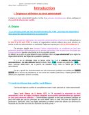 Introduction au droit administratif