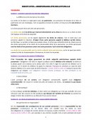 Cours de responsabilité délictuelle