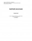 Rapport de stage réceptionniste