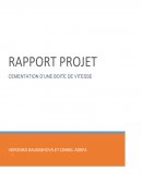 Rapport de traitement thermique