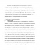 DM sur la société de consommation