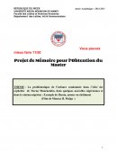 Projet de recherche