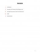 Rapport de stage Grand Garage Ferray