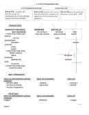 MANAGEMENT les 3 types d'organisations