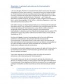 Le principe de prévention en droit international de l'environnement