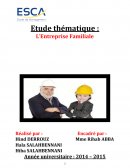 Rapport de stage en entreprise familiale